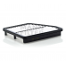 MANN-FILTER  C2421
